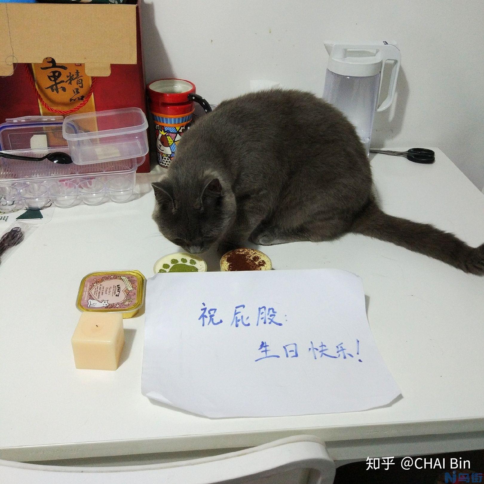 达克宁治猫藓吗？