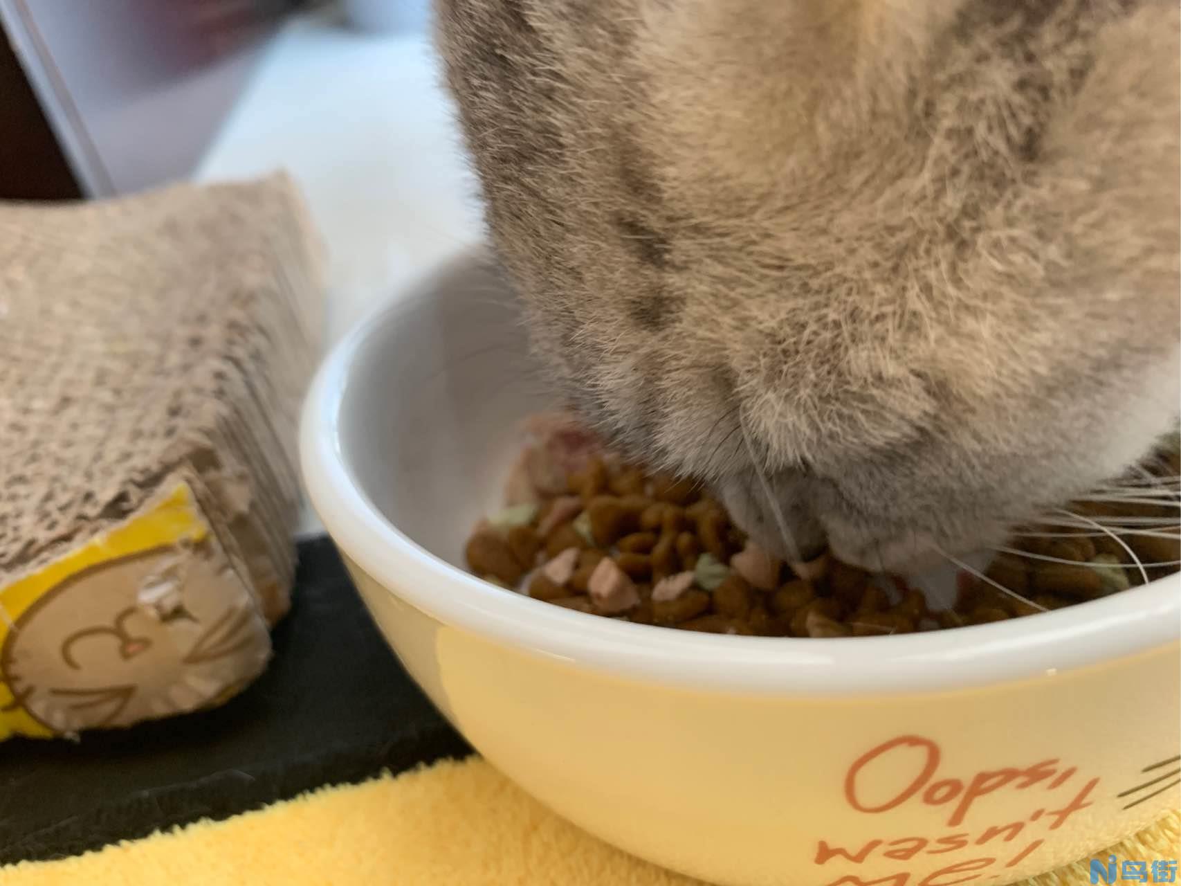 自制猫零食，超级简单的秋刀鱼玛芬