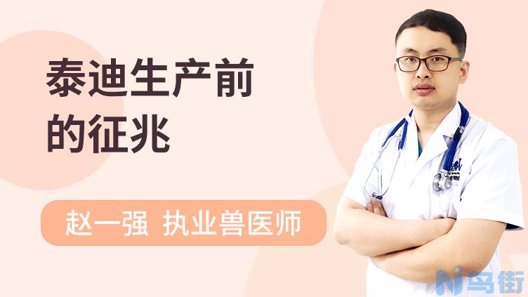 狗狗生产前1小时的征兆？