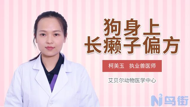 金毛身上长癣用什么药？