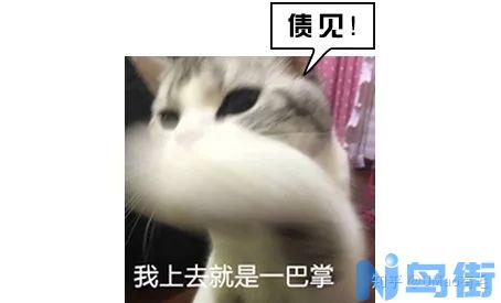 猫粮知多少的宠物食品