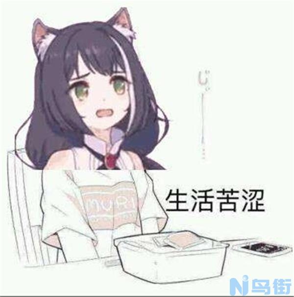 猫为什么不臭？