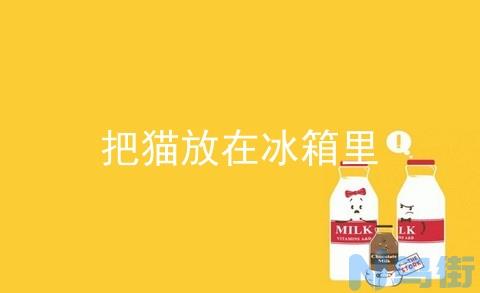 猫腹水能活多久？