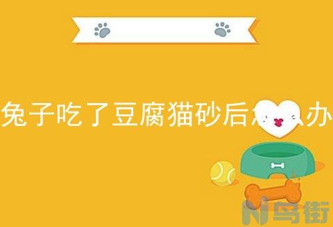 猫吃水晶猫砂怎么办？