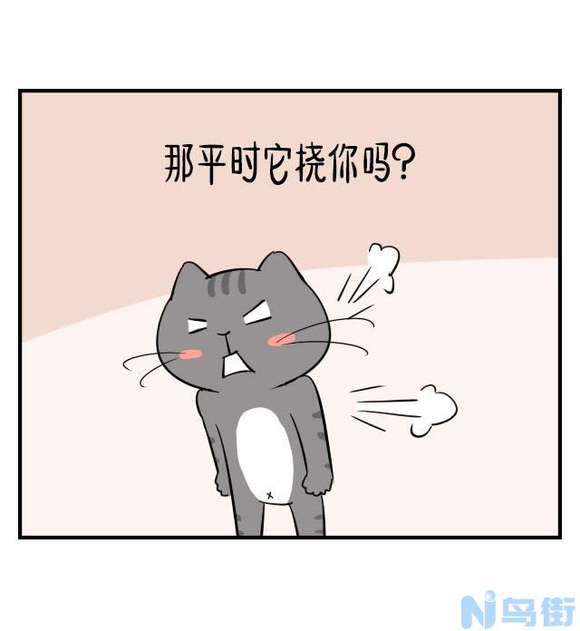 猫为什么挠自己？