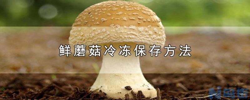 狗狗能吃莴笋吗？