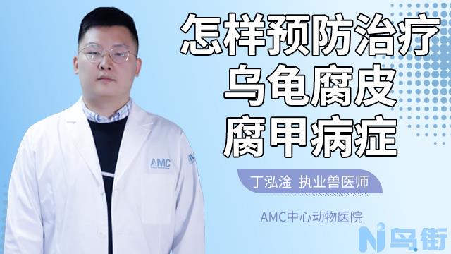 乌龟眼睛烂了怎么办？