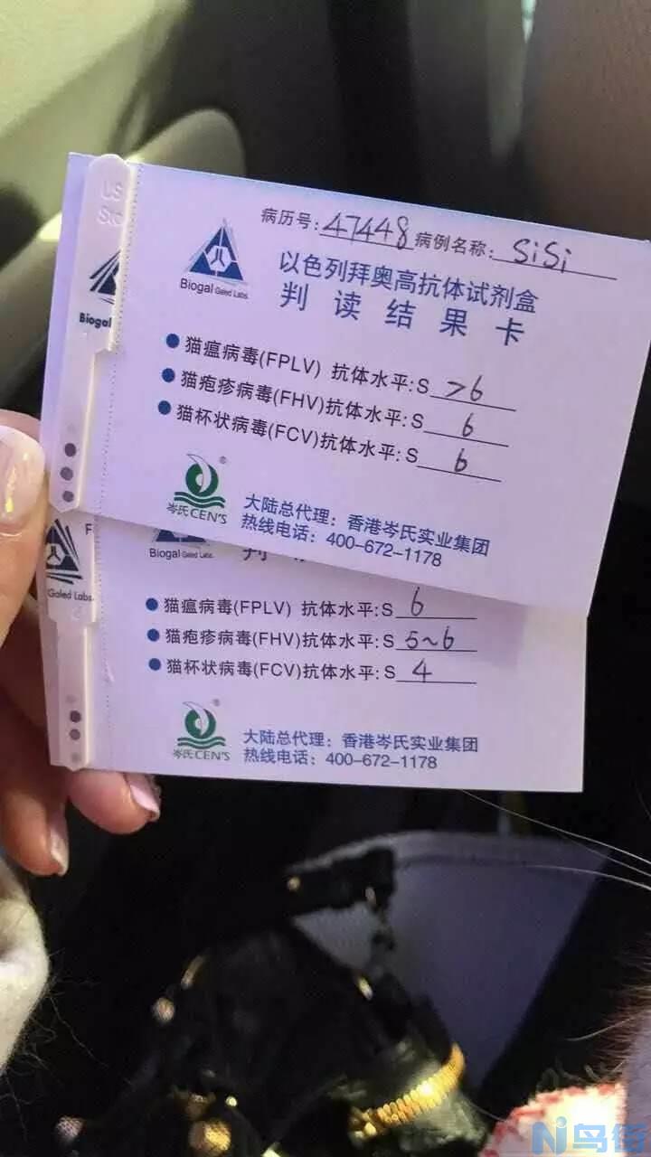 猫没有打过疫苗为什么有猫瘟抗体？