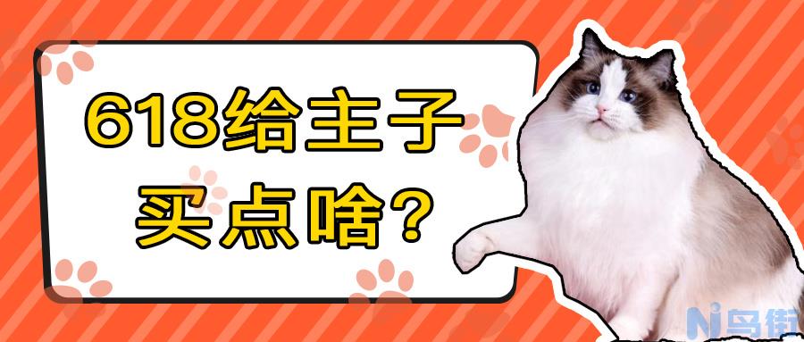 猫砂可不可以给鸡吃？