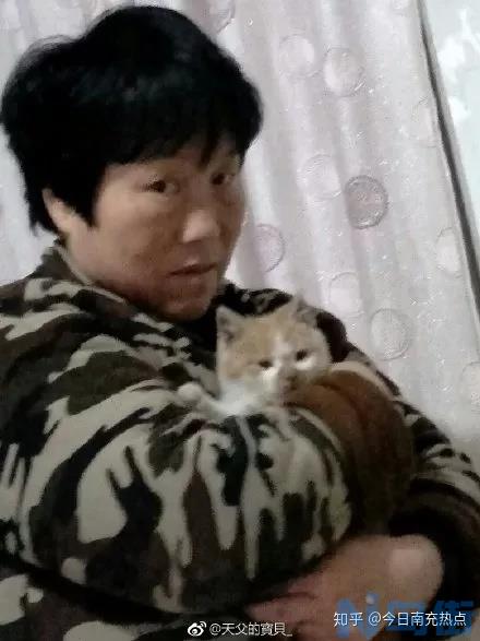 猫猫能不能吃橙子？