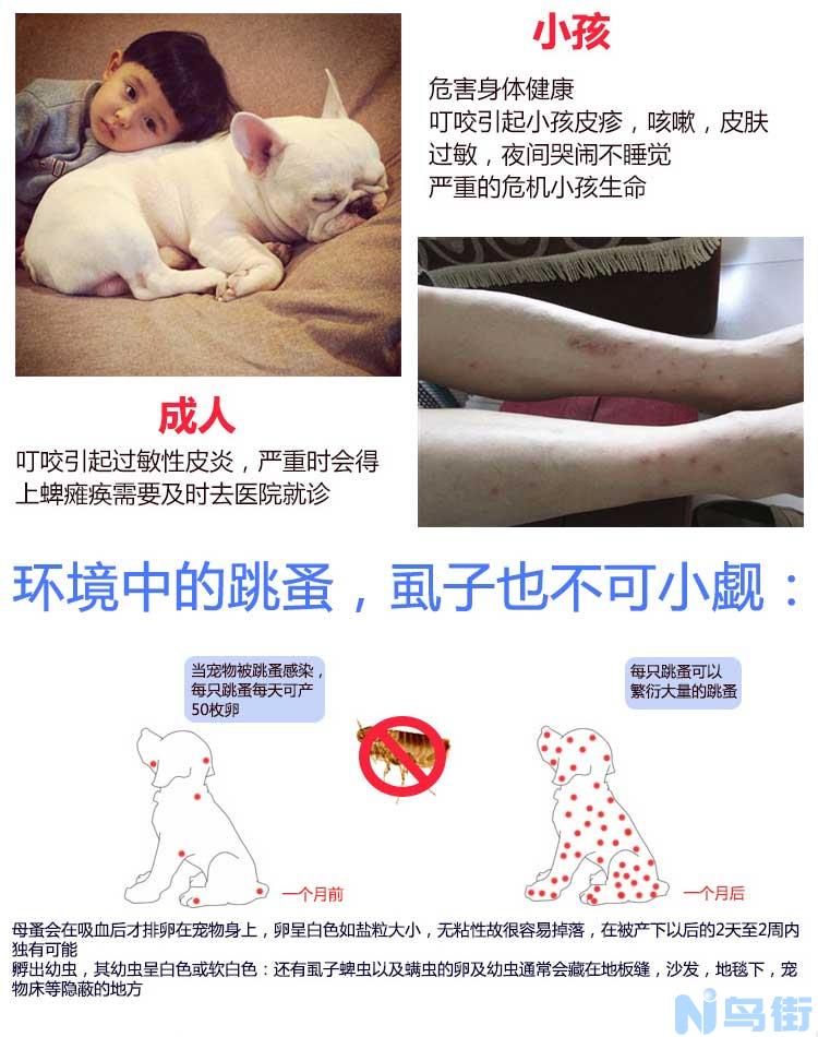 狗狗球虫药的剂量？