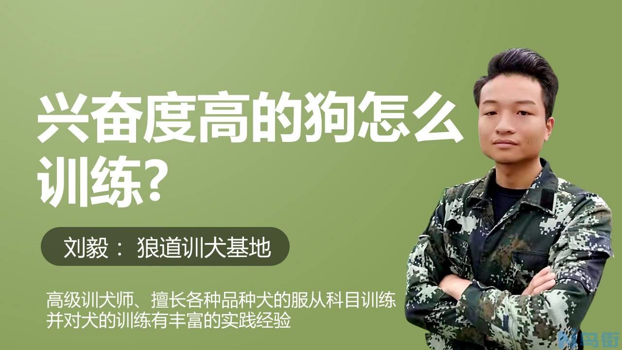 金毛为什么不能吃葡萄？