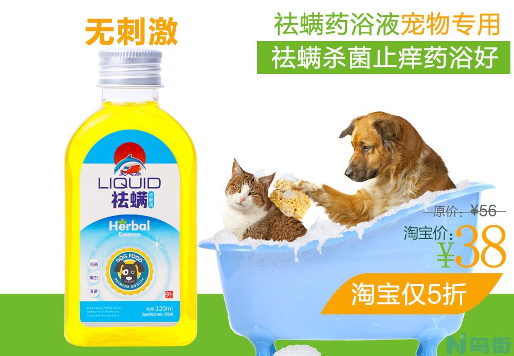 猫过敏性皮炎怎么治疗？