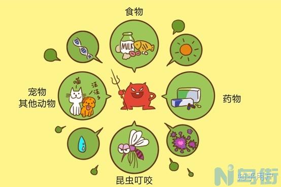 猫青霉素过敏症状？