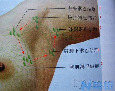 猫喉咙淋巴肿大？