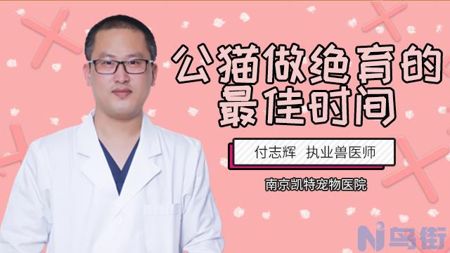 猫咪绝育后性情大变？