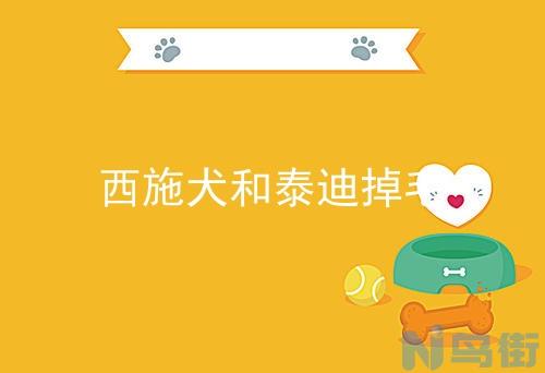 法斗犬营养食谱？