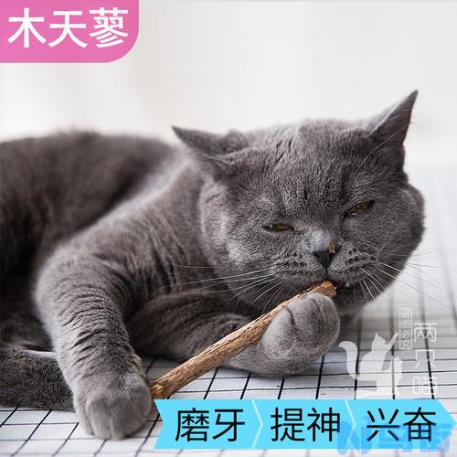 猫多大可以吃磨牙棒？