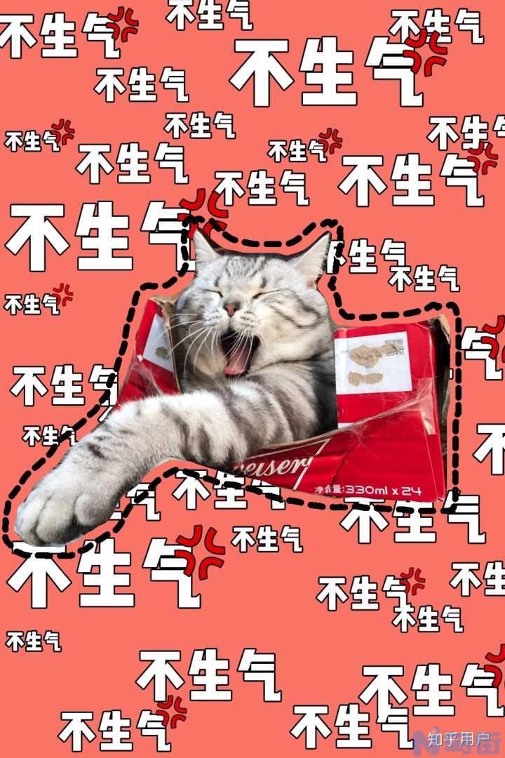 猫蹲着是什么原因？