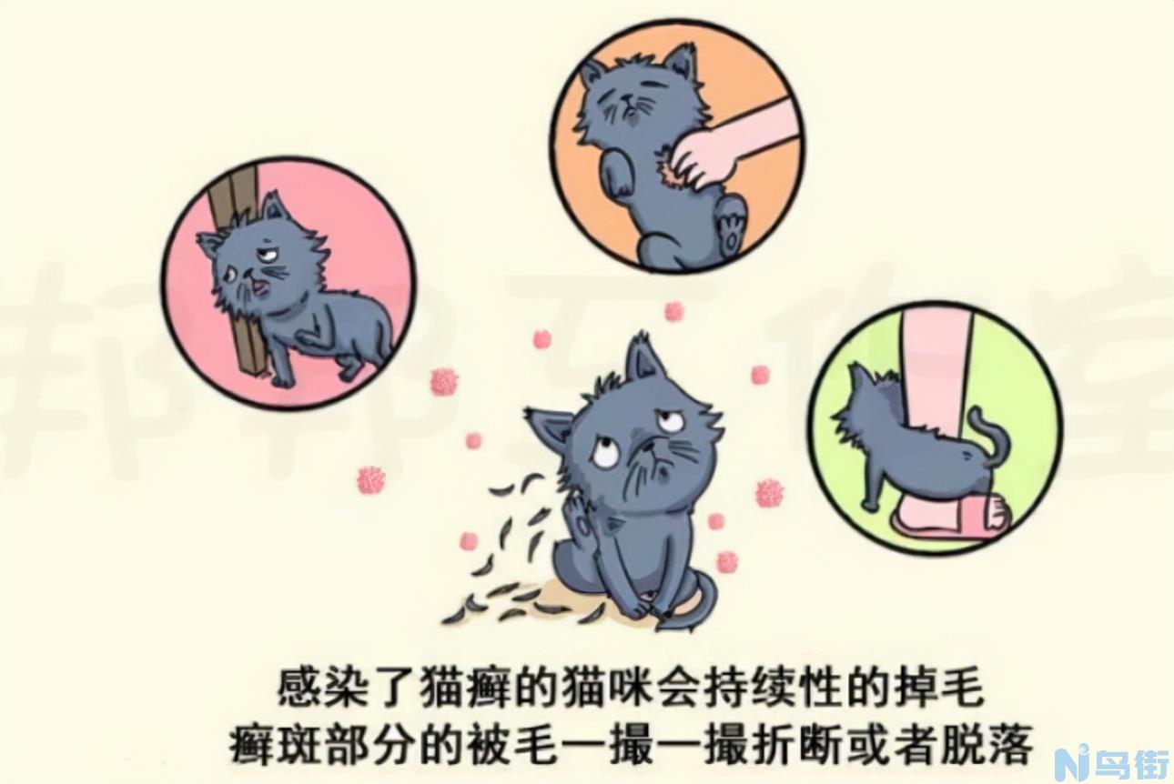 怎么判断是不是猫藓？