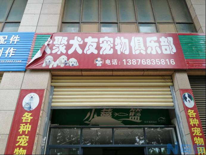 宠物店买的狗做检查？