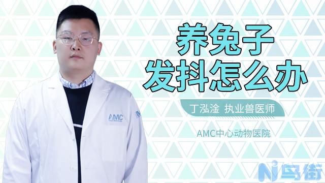 兔子尿是红色的？