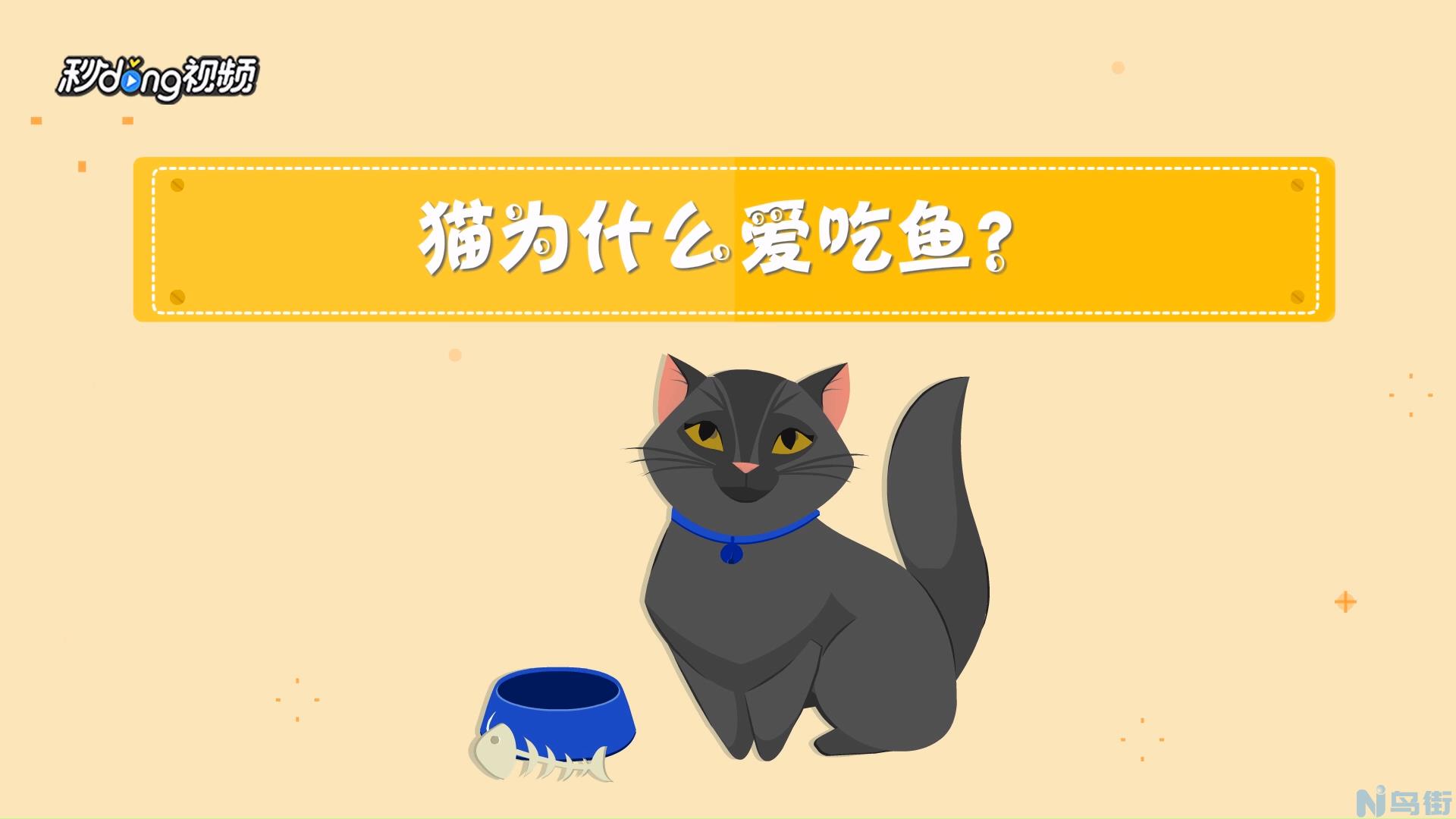 奶牛猫多少人民币一只？