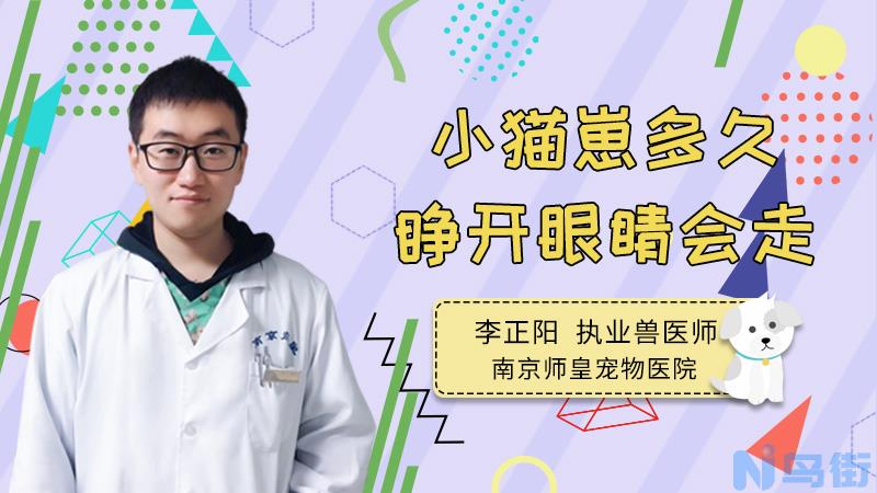 猫的爪子肿了怎么办？