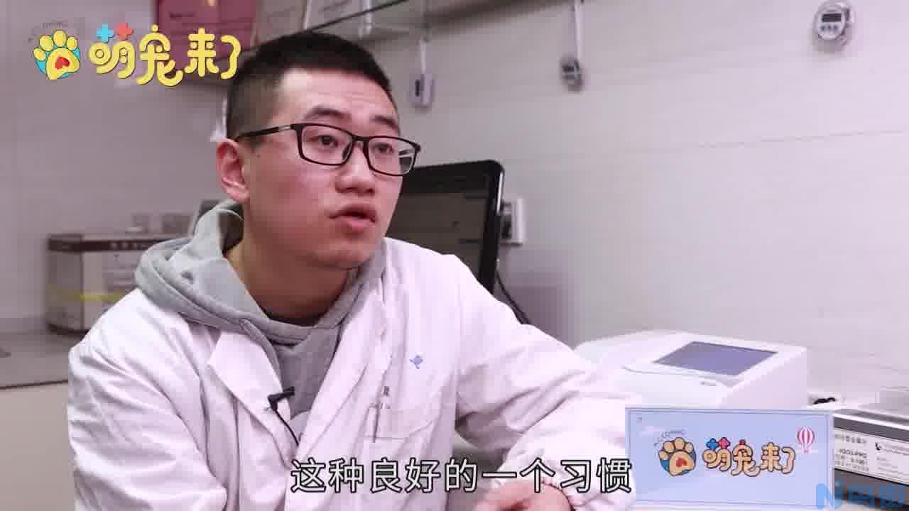 猫用尾巴扫你什么意思？