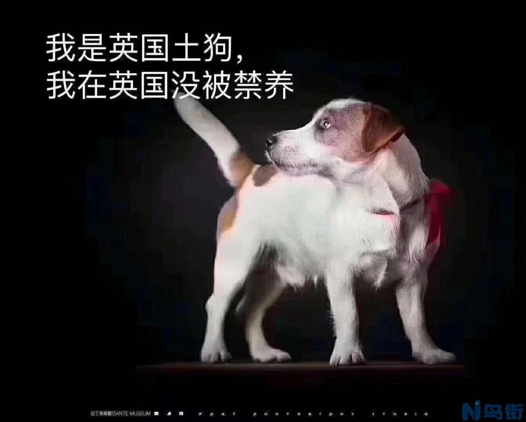 腊肠狗是那个国家的？