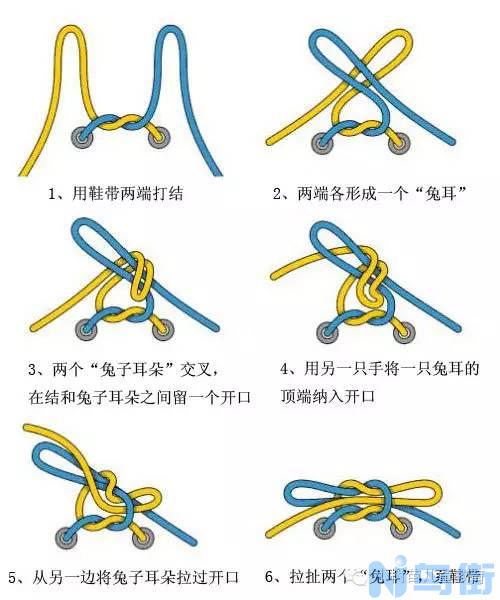 兔子的简单训练动作？