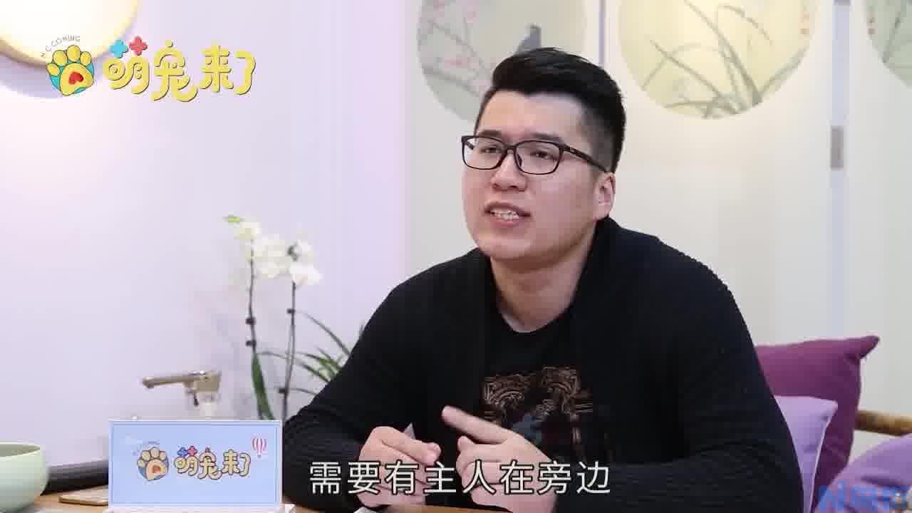 狗狗耳螨小妙招？