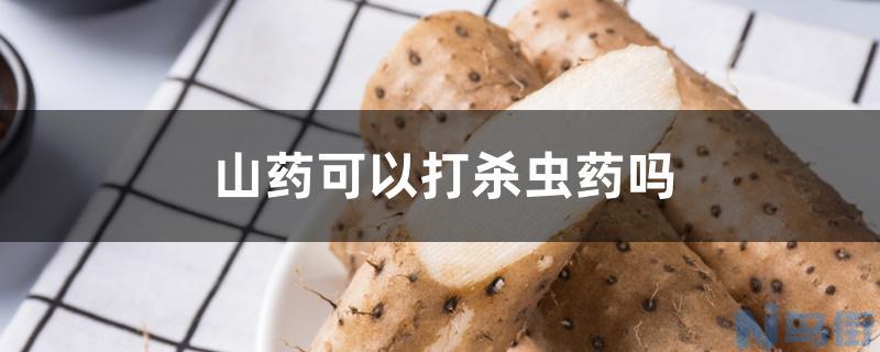 狗狗能不能吃熟山药？