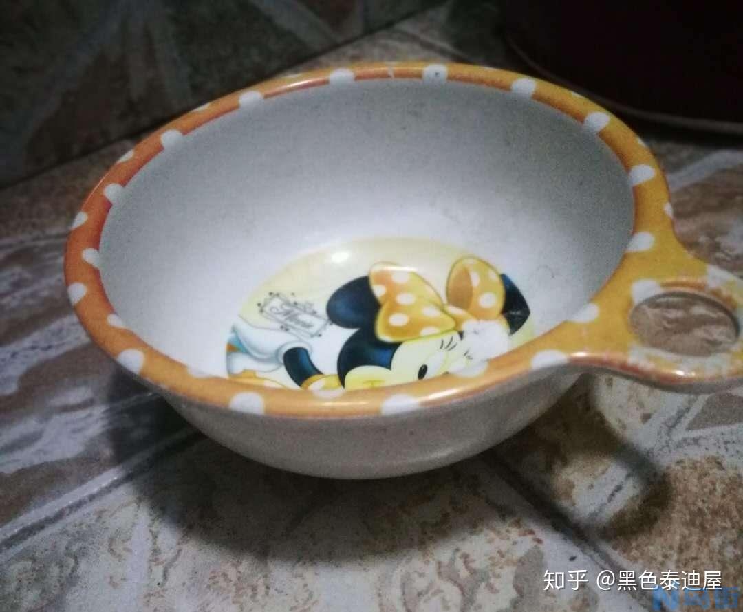 狗狗不吃饭呕吐黄水？