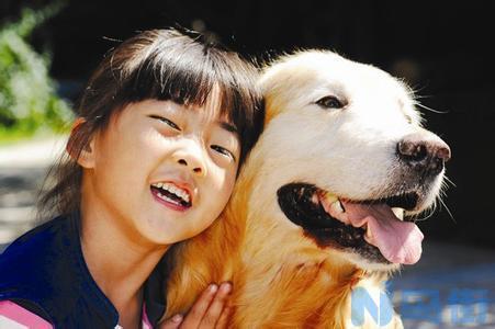 训练拉布拉多犬的技巧？