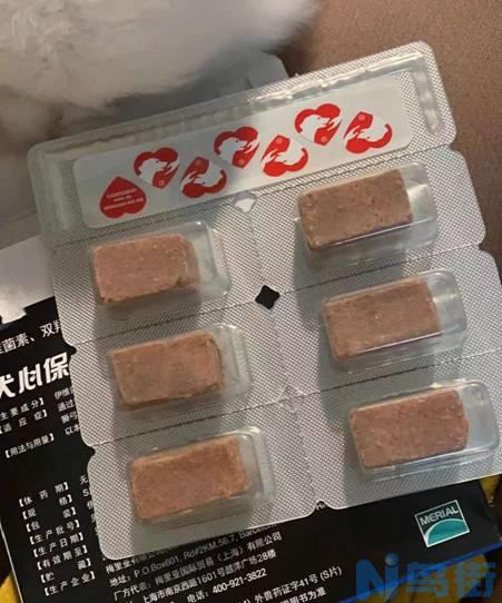 幼犬体内有虫的症状？