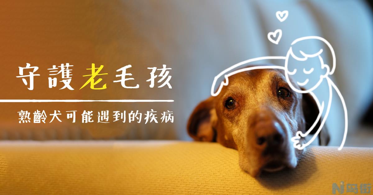 犬葡萄膜炎眼球充血？