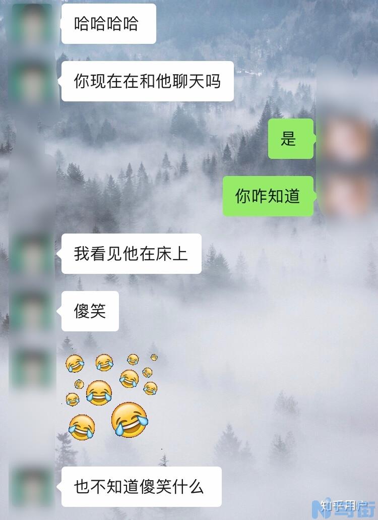 小狗手脚冰凉？