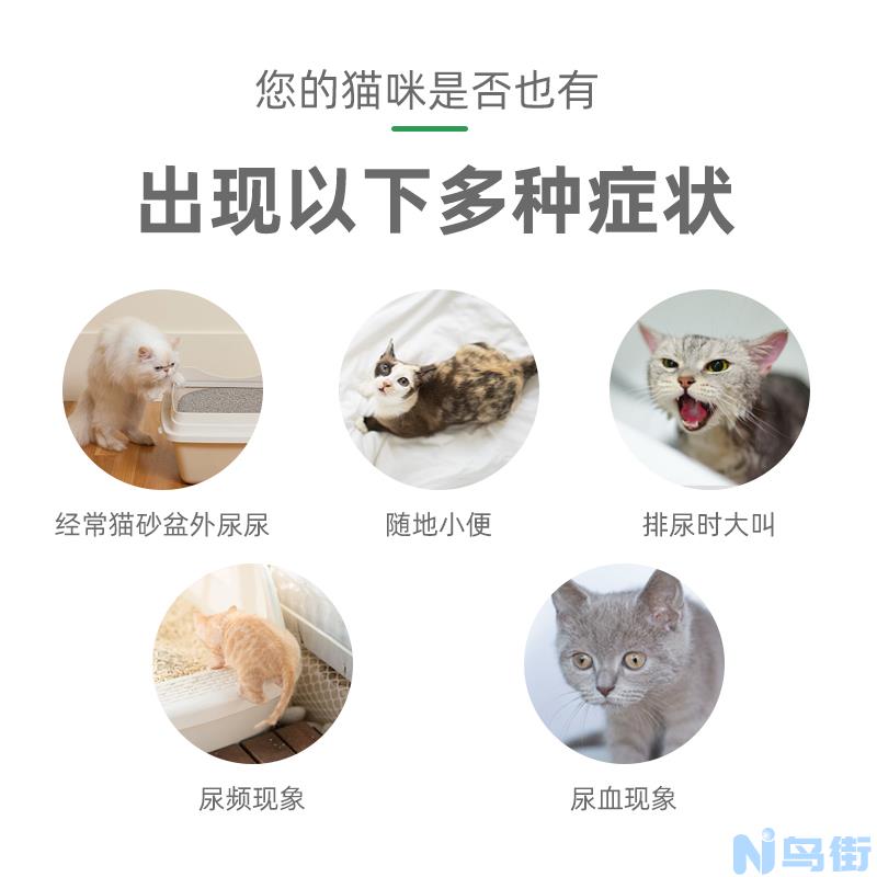 猫咪膀胱结晶？