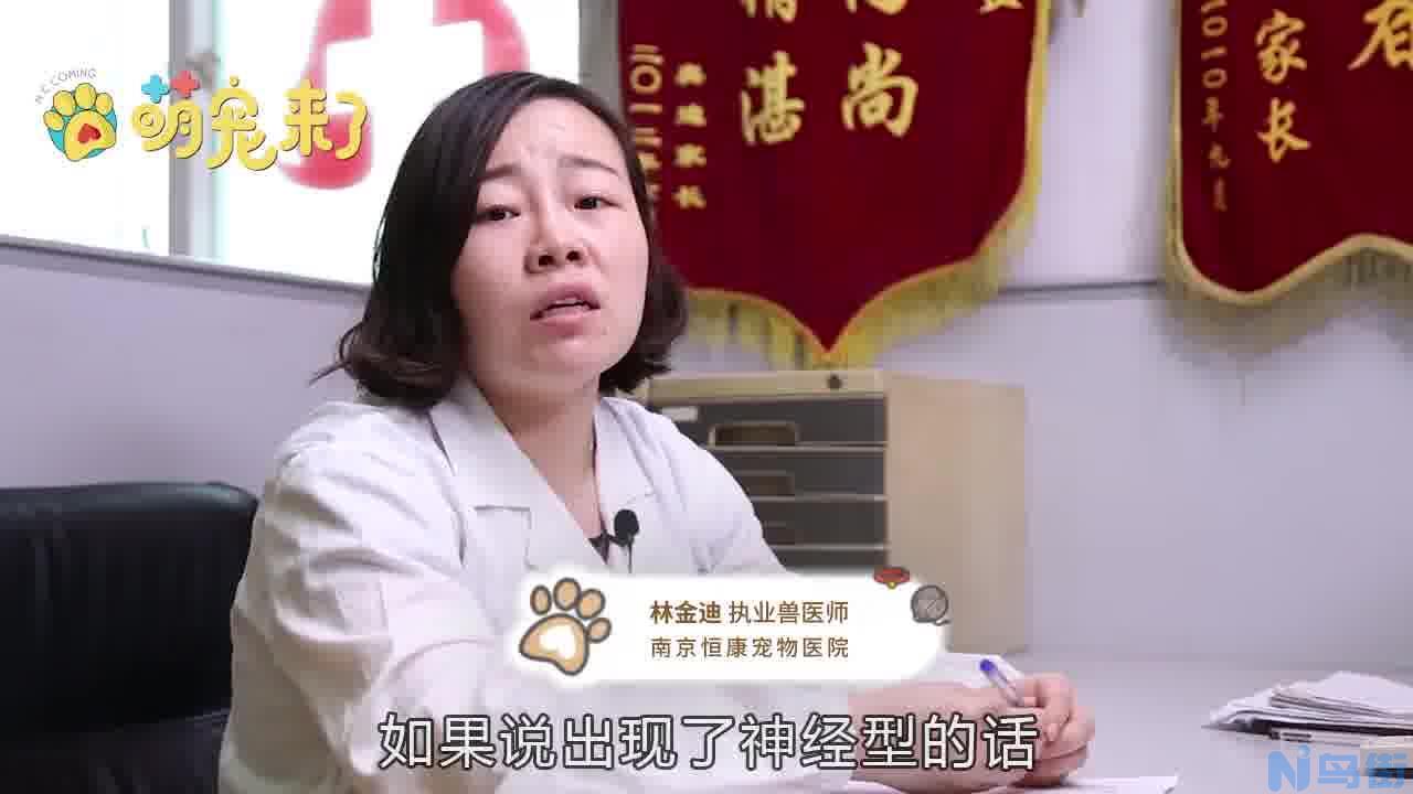 幼犬眼白发红？