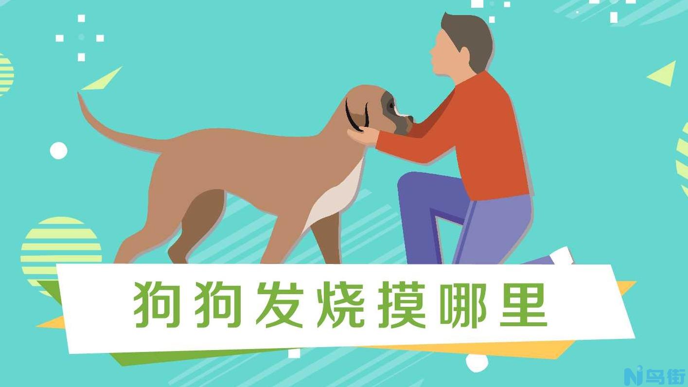 狗冠状病毒治好了能免疫吗？