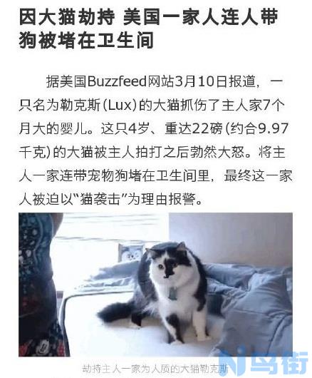 猫咪会伤害婴儿吗？