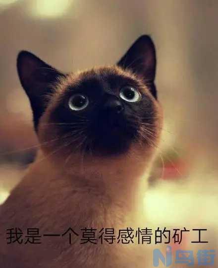 猫咪毛色变白？