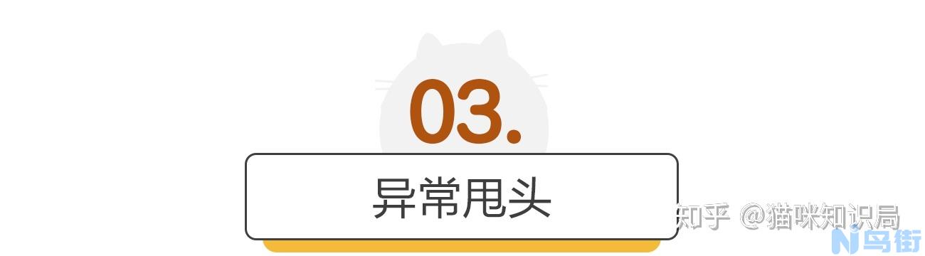 猫咪皮肤变黑？