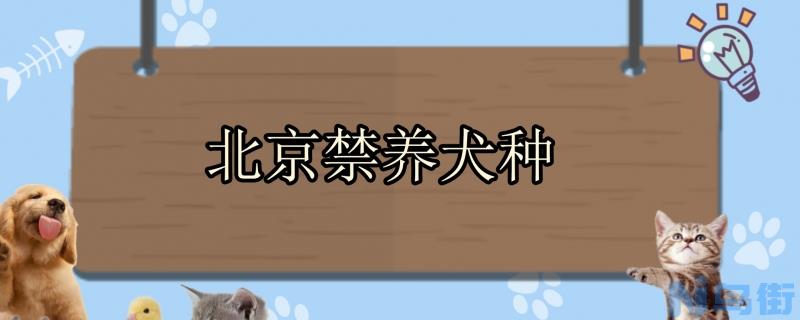 北京禁养犬种？