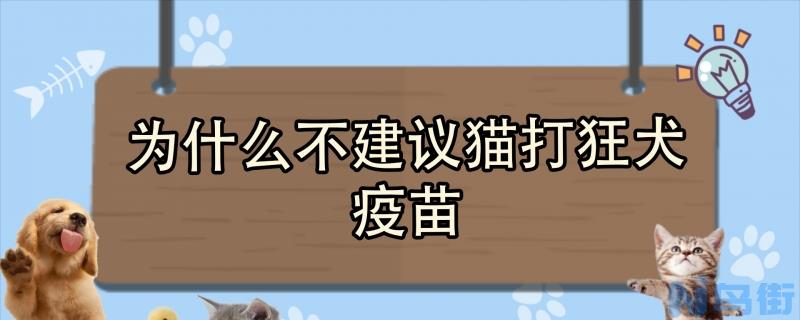 为什么不建议猫打狂犬疫苗？