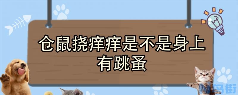 仓鼠挠痒痒是不是身上有跳蚤？