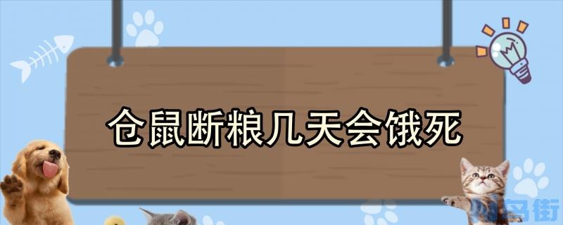 仓鼠断粮几天会饿死？