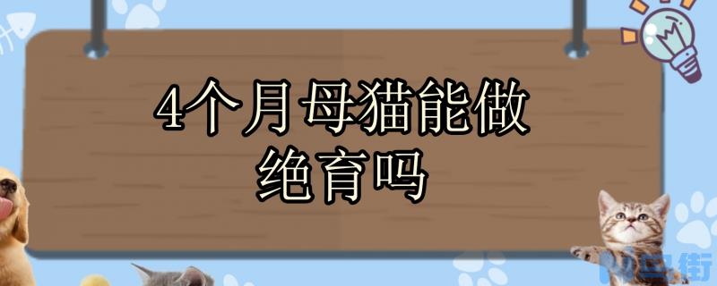 4个月母猫能做绝育吗？