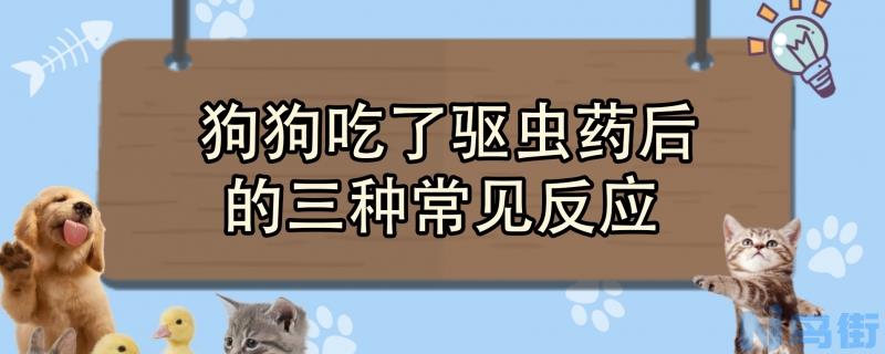 狗狗吃了驱虫药后的三种常见反应？